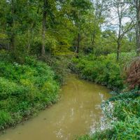 Adamsville Rd Lot 5 - 24 acres - Muskingum County images 2