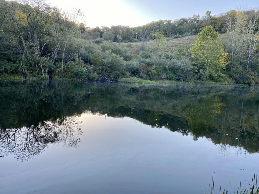 N Camp Run Rd Lawrence County 220 Acres featured image