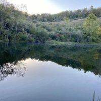 N Camp Run Rd Lawrence County 220 Acres
