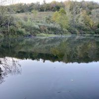N Camp Run Rd Lawrence County 220 Acres images 2