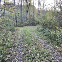 N Camp Run Rd Lawrence County 220 Acres images 3