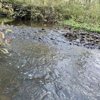 N Camp Run Rd Lawrence County 220 Acres images 4