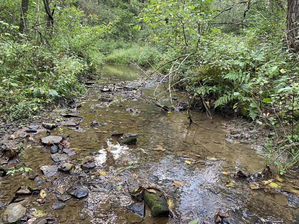 Taffy Run Rd. Beaver County 65 Acres featured image