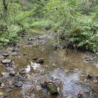 Taffy Run Rd. Beaver County 65 Acres