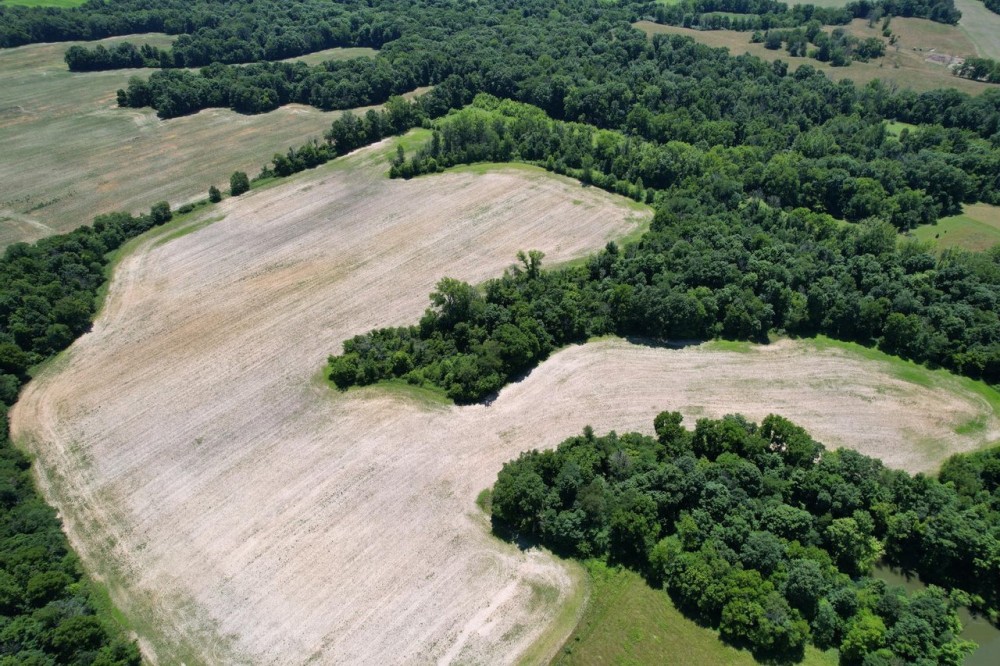 LAND FOR SALE - 66 ACRES MIXED HABITAT TILLABLE - MARTINSVILLE INDIANA - MORGAN COUNTY featured image