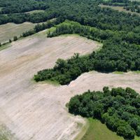 LAND FOR SALE - 66 ACRES MIXED HABITAT TILLABLE - MARTINSVILLE INDIANA - MORGAN COUNTY