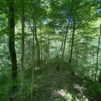 LAND FOR SALE - 66 ACRES MIXED HABITAT TILLABLE - MARTINSVILLE INDIANA - MORGAN COUNTY images 3