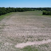 LAND FOR SALE - 66 ACRES MIXED HABITAT TILLABLE - MARTINSVILLE INDIANA - MORGAN COUNTY images 4