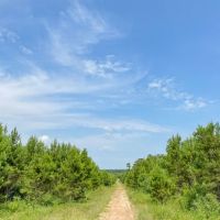 283 Acres T-10 Red Hollow