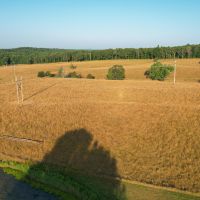 Pomona Farm and Home images 4