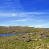 Little Rosie Ranch images 2