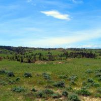 Little Rosie Ranch images 5