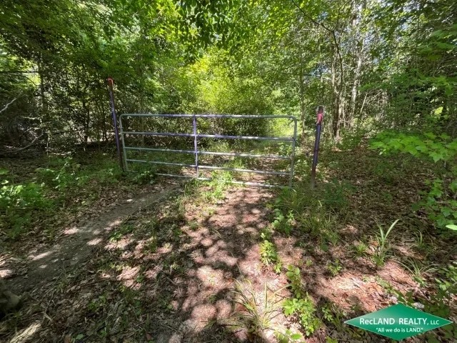 369 ac - Duck Deer Hunting in North Union Parish featured image