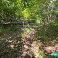 369 ac - Duck Deer Hunting in North Union Parish