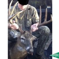 369 ac - Duck Deer Hunting in North Union Parish images 5