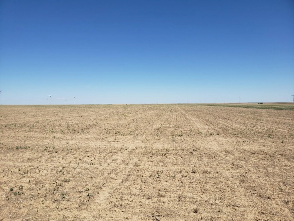 Borders Farms featured image