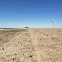 Borders Farms images 3