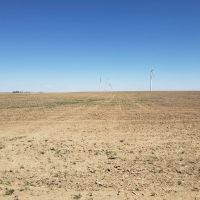 Borders Farms images 5