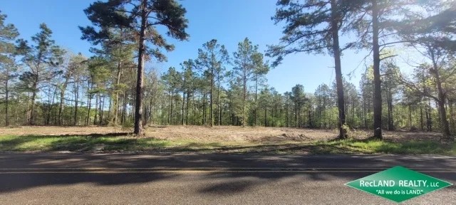28.5 ac - Timberland with Home Site Potential featured image