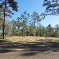 28.5 ac - Timberland with Home Site Potential