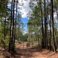70 Acres T-6 CR 364 images 2