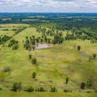PRIME CATTLE HUNTING PROPERTY images 3