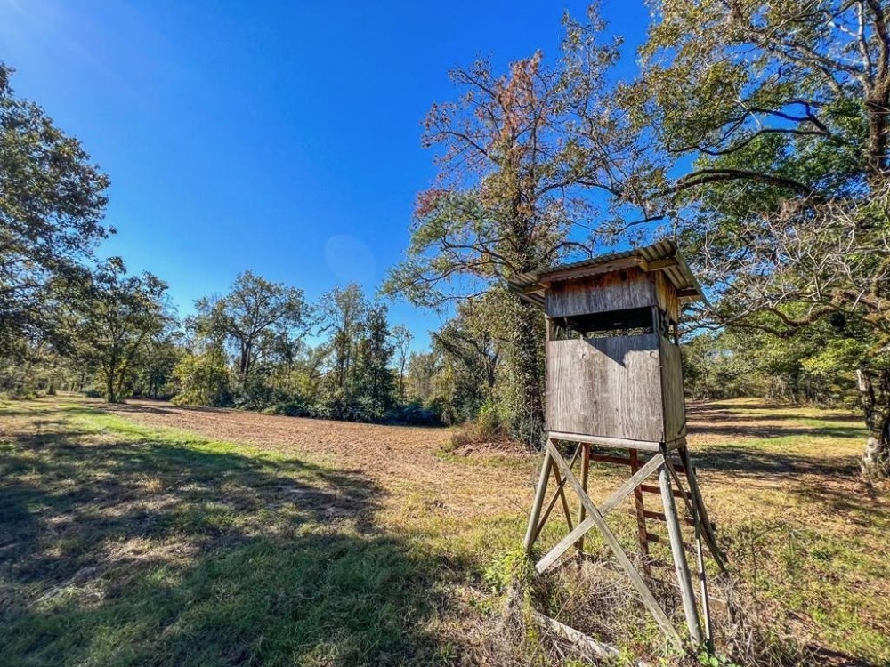 450 Acres Hunting Land Camp for Sale in Wilkinson Co. MS Hunting Land