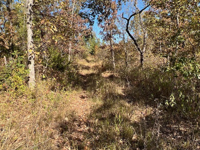 Wooded Tract Backing to Corps featured image