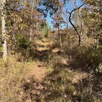 Wooded Tract Backing to Corps