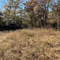 Wooded Tract Backing to Corps images 3