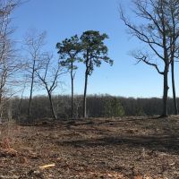 REDUCED .72 acre Waterfront Building Lot For Sale on the Chowan River in Riversedge Subdivision images 3