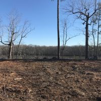 REDUCED .72 acre Waterfront Building Lot For Sale on the Chowan River in Riversedge Subdivision images 4