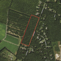 REDUCED 32.55 Acres In The City of Chesapeake Va. With Road Frontage Beautiful Timber