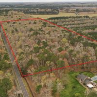 REDUCED 32.55 Acres In The City of Chesapeake Va. With Road Frontage Beautiful Timber images 3