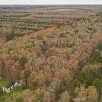 REDUCED 32.55 Acres In The City of Chesapeake Va. With Road Frontage Beautiful Timber images 4
