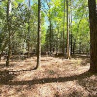 REDUCED Great Building Lot in the Countryside of Southampton Co Virginia images 3