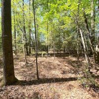 REDUCED Great Building Lot in the Countryside of Southampton Co Virginia images 4