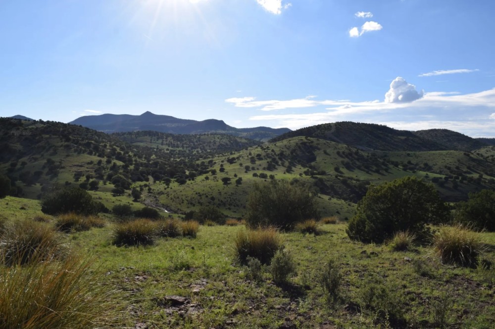 Mimbres Mountain Ranch featured image