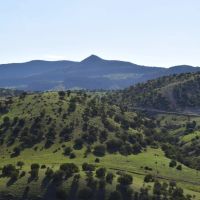 Mimbres Mountain Ranch images 3