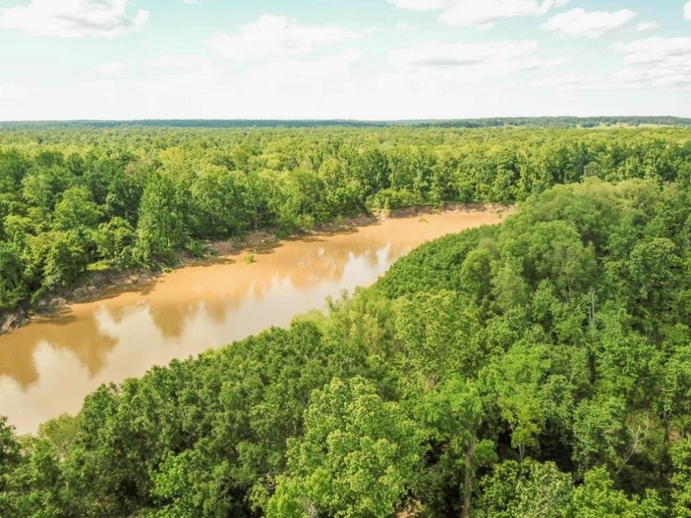 Waterfront Hunting Land for Sale in Port Gibson MS featured image