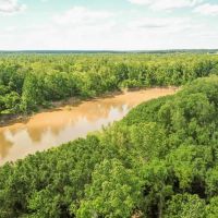 Waterfront Hunting Land for Sale in Port Gibson MS