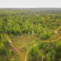 Waterfront Hunting Land for Sale in Port Gibson MS images 2