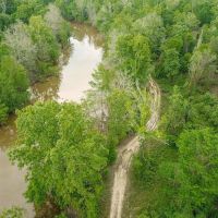Waterfront Hunting Land for Sale in Port Gibson MS images 3