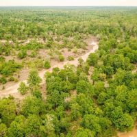 Waterfront Hunting Land for Sale in Port Gibson MS images 4