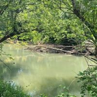 48.89 -acres River Front Property