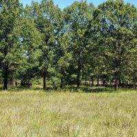 Deep Fork 160 images 4