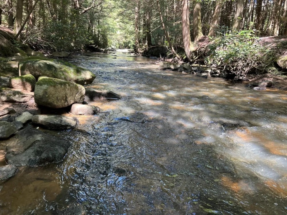 Dinner Bell Rd. Fayette County 203 acres Hunting Land for Sale