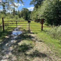 Dinner Bell Rd. Fayette County - 203 acres images 2
