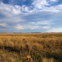 BX Ranch images 3