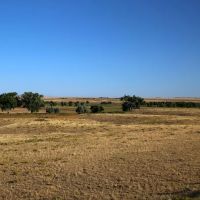 BX Ranch images 4